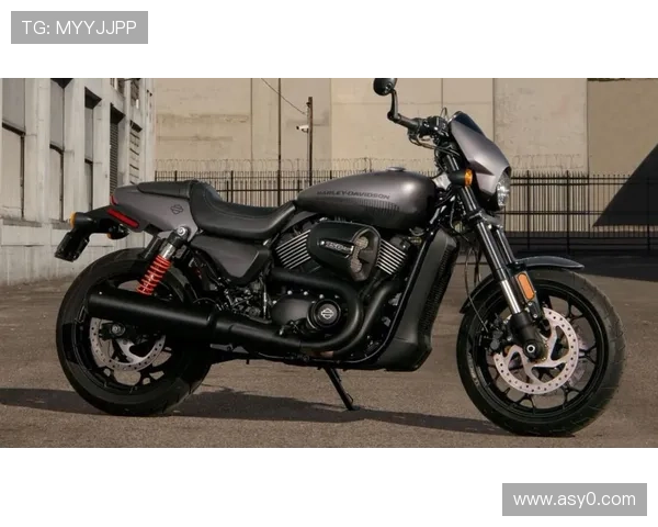 20 世纪 70 年代的 9 款标志性哈雷戴维森摩托车