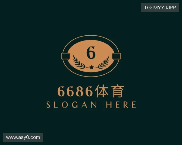 了解6686